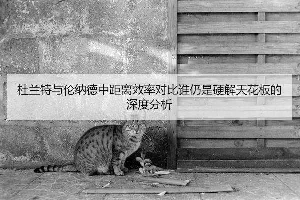 杜兰特与伦纳德中距离效率对比谁仍是硬解天花板的深度分析