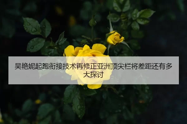 吴艳妮起跑衔接技术再修正亚洲顶尖栏将差距还有多大探讨